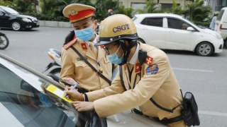 Truy tố hàng loạt tài xế mua bán, sử dụng giấy phép lái xe giả