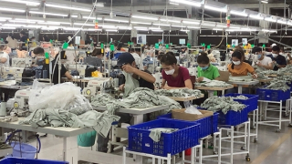 Xử lý nghiêm khắc doanh nghiệp “quên” quyền lợi của người lao động