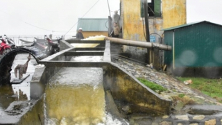 Yêu cầu thủy điện Hương Điền ngừng phát điện để cứu hàng nghìn hécta lúa ngập úng