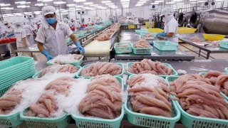 Mở rộng xuất khẩu sang thị trường Vân Nam -Trung Quốc