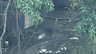 Thi thể người đàn ông nổi dưới chân cầu Chợ Dinh