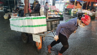 Oằn mình trong đêm lạnh Hà Nội