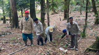 Chuyện làm giàu trên đỉnh Ngọc Linh