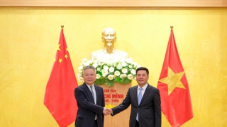 Thúc đẩy đưa dừa tươi Việt Nam vào thị trường Trung Quốc