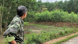 Hệ lụy từ việc liều cắt đất bán cho dân