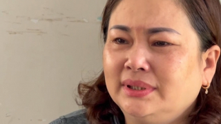 Lừa mua đất thi hành án, chiếm đoạt tiền tỷ