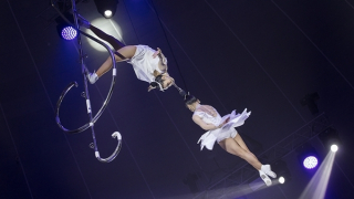 "Những cánh hồng bay 2" tôn vinh các “công chúa xiếc” vào dịp lễ 8/3