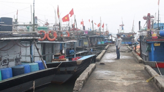 Chủ tàu cá “đỏ mắt” tìm lao động đi biển