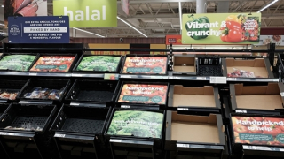 Người Anh khốn đốn với tình trạng khan hiếm rau xanh