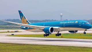 Xuất hiện khỉ tại Sân bay Nội Bài