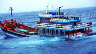 Cứu vớt kịp thời 4 ngư dân trên tàu cá bị chìm ở Hoàng Sa