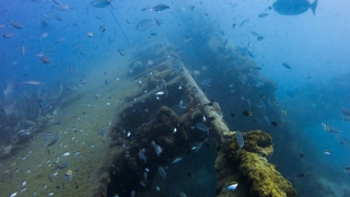 Lịch sử tàu đắm Yongala, Australia