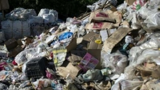 Tìm thấy thi thể nữ chủ nhà nuôi yến bị sát hại trong bãi rác