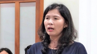 Vì sao tiến sĩ luật Đặng Anh Quân và nhà báo Hàn Ni bị bắt?