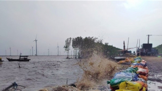 Công bố tình huống khẩn cấp sự cố sạt lở đê biển Đông tại Bạc Liêu