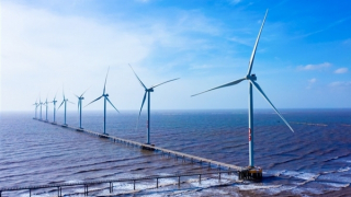 Giá mua giảm thấp, điện gió sẽ khó thu hút vốn đầu tư