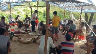 Triệt xóa trường gà giữa rừng đước, tạm giữ 170 triệu đồng