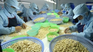 Doanh nghiệp gặp khó vì lãi suất ngân hàng cao