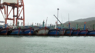 Bình Định ứng dụng nhật ký điện tử trong việc truy xuất nguồn gốc thủy sản