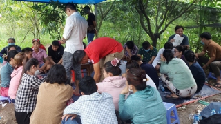 25 người tụ tập đánh bạc trong vườn xoài