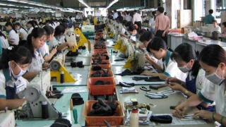 Gỡ vướng cho doanh nghiệp về bảo hiểm xã hội