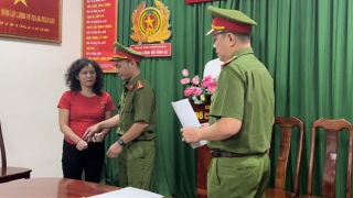 Khi các tiến sĩ, luật sư… phạm luật