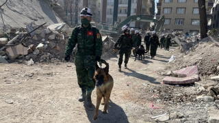 Thực hiện nhiệm vụ bằng tất cả sự say mê, tâm huyết