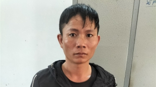 Đi xe máy dò tìm nơi thả trâu bò rồi lái ô tô đến chở đi bán