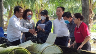 Mô hình nuôi lươn tuần hoàn nổi có sự đồng hành vốn của Agribank TP Bạc Liêu