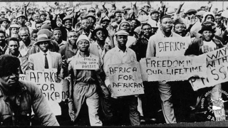 Sue Dobson - người góp phần xóa bỏ chế độ phân biệt chủng tộc ở Nam Phi