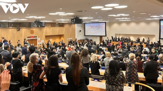 Việt Nam đóng góp nhiều đề xuất trong bảo tồn đa dạng sinh học biển