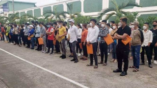 Cảnh giác ma trận lừa đảo việc làm