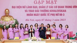 Thực hiện tốt công tác cán bộ nữ, bình đẳng giới, góp phần vào thành tựu chung của đất nước