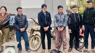 Nhóm "cẩu tặc" liều lĩnh sa lưới