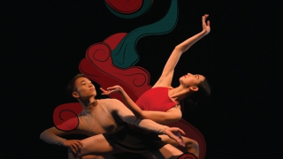 Tranh Đông Hồ lên sân khấu ballet