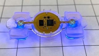 Vi điện tử cung cấp điều khiển từ xa cho robot sinh học