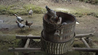 Thổi giá, lùa gà, úp sọt