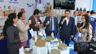 Hơn 400 gian hàng tham gia Hội chợ triển lãm chuyên ngành cà phê năm 2023