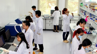 Làm sao để có nhân tài và sử dụng nhân tài ra sao?