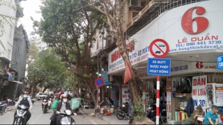 Đề cử giải Oscar 2023: Khi phụ nữ thịnh nộ