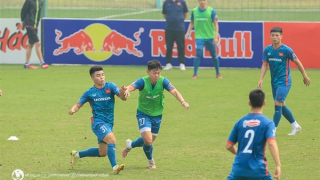 Sự kết hợp của ông Philippe Troussier