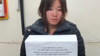 Nữ quái bị tóm cùng gần 17.000 viên ma túy tổng hợp