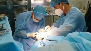 Bệnh xá đảo Trường Sa Đông phẫu thuật cấp cứu ngư dân viêm ruột thừa cấp