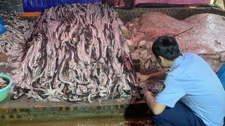 1,6 tấn da trâu bốc mùi hôi thối "ém" đợi bán kiếm lời