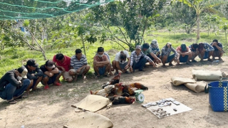 Truy quét tội phạm cờ bạc