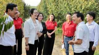 Vốn tín dụng Agribank - Xanh rừng núi, xanh biên cương