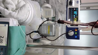 Xác minh việc cháu bé sơ sinh bị bỏ rơi dẫn đến tử vong