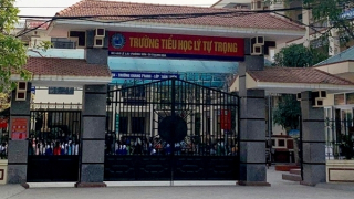 Kỷ luật nữ giáo viên ngoại ngữ tham gia làm bằng giả