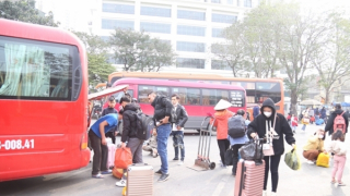 Xử nghiêm doanh nghiệp tuyến cố định dùng xe hợp đồng trá hình