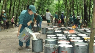 Trung Quốc - thị trường tiêu thụ cao su lớn nhất của Việt Nam